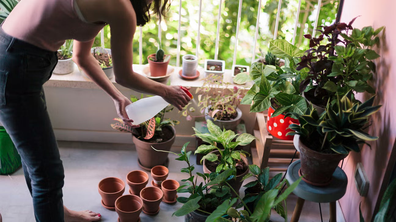 Plant Styling & Home Accents