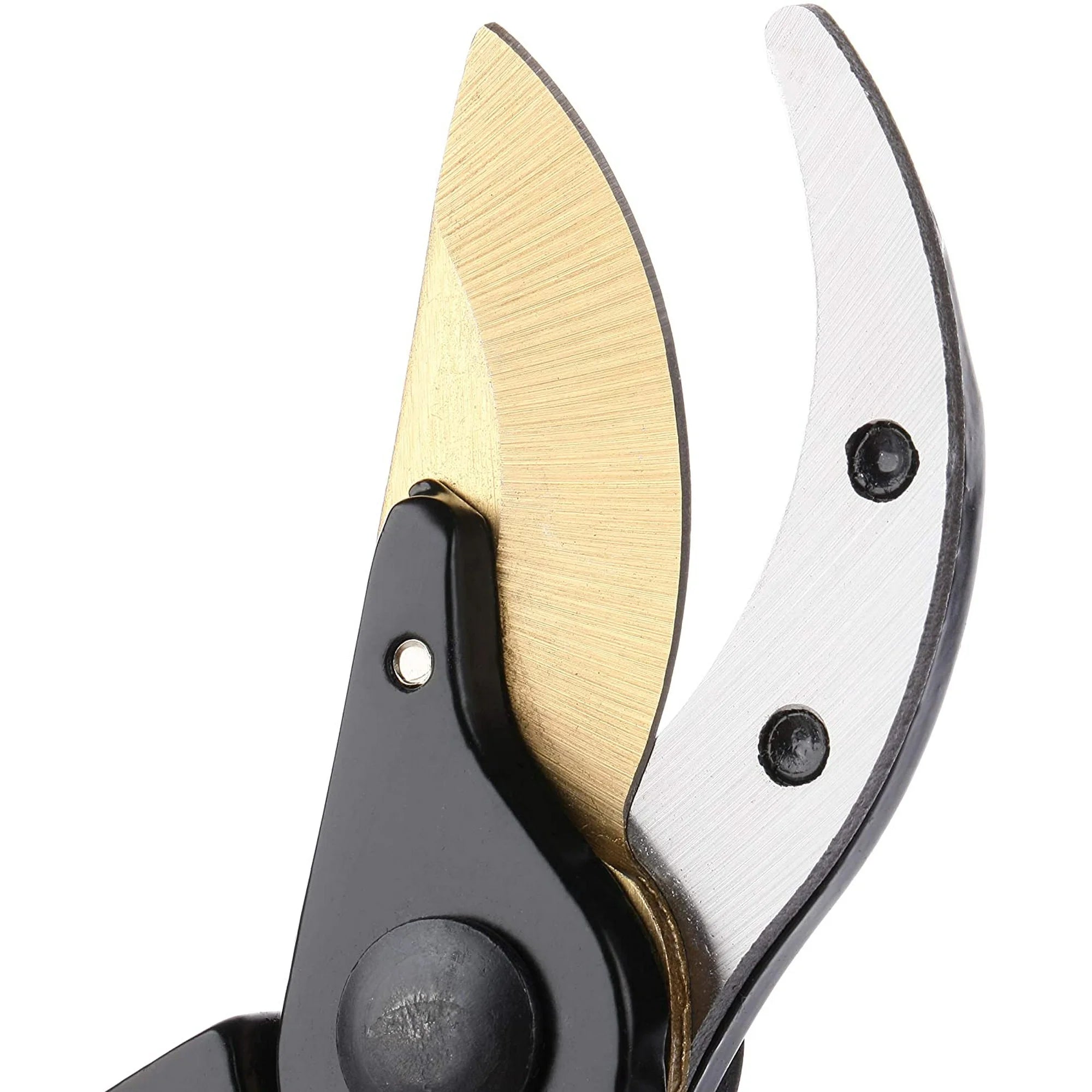 Professional Garden Pruning Shears (8 in.)