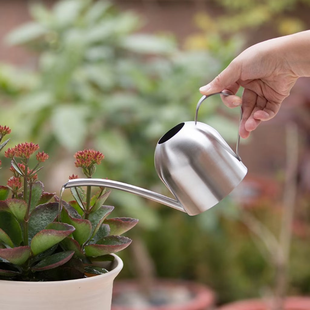 Stainless Steel Indoor Watering Can with Long Spout (500 ml)