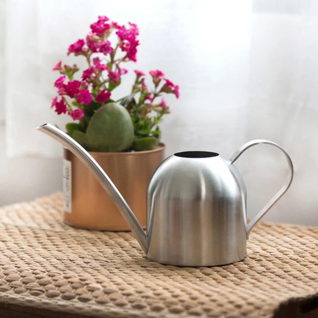 Stainless Steel Indoor Watering Can with Long Spout (500 ml)