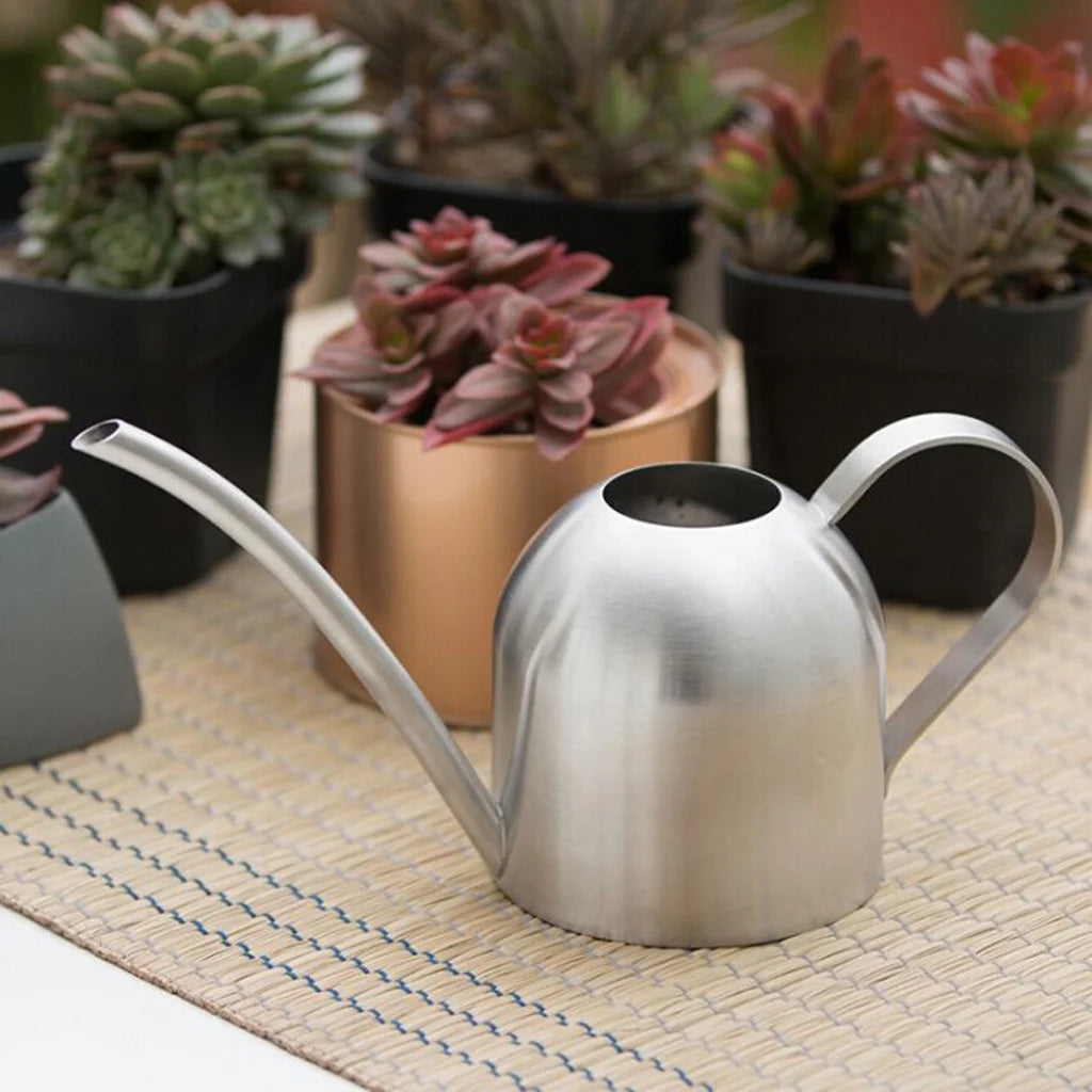 Stainless Steel Indoor Watering Can with Long Spout (500 ml)