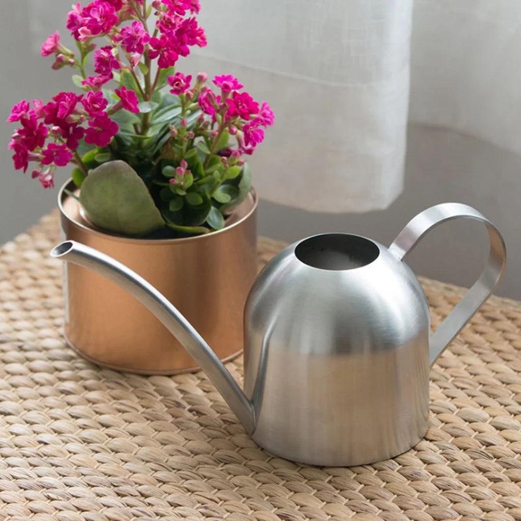Stainless Steel Indoor Watering Can with Long Spout (500 ml)