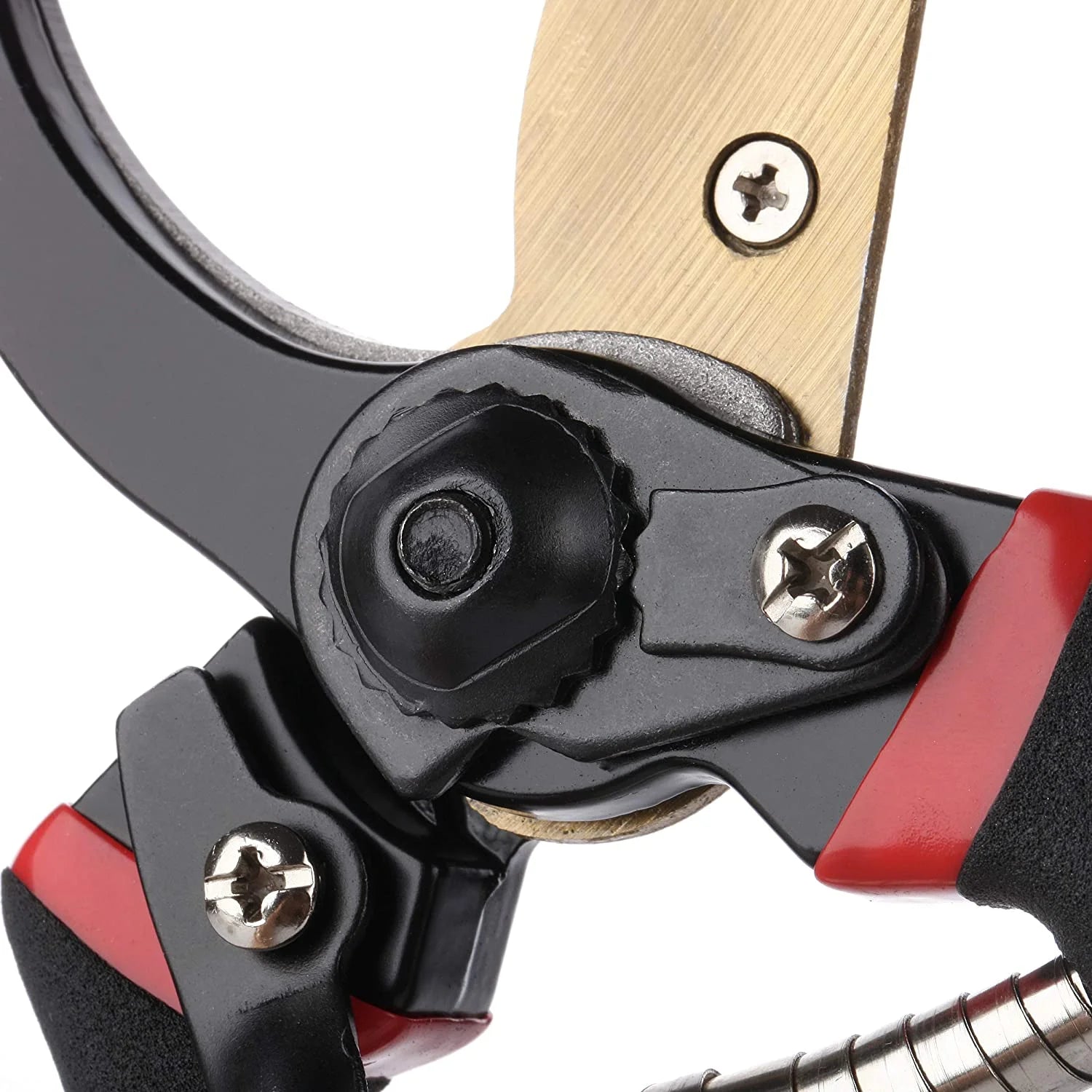 Professional Garden Pruning Shears (8 in.)