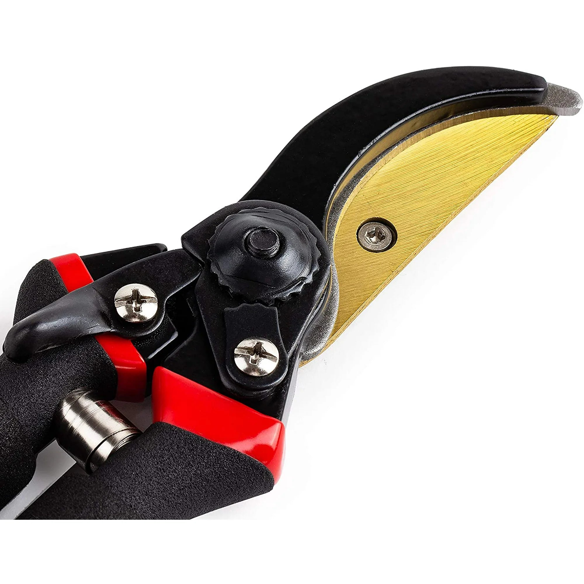 Professional Garden Pruning Shears (8 in.)