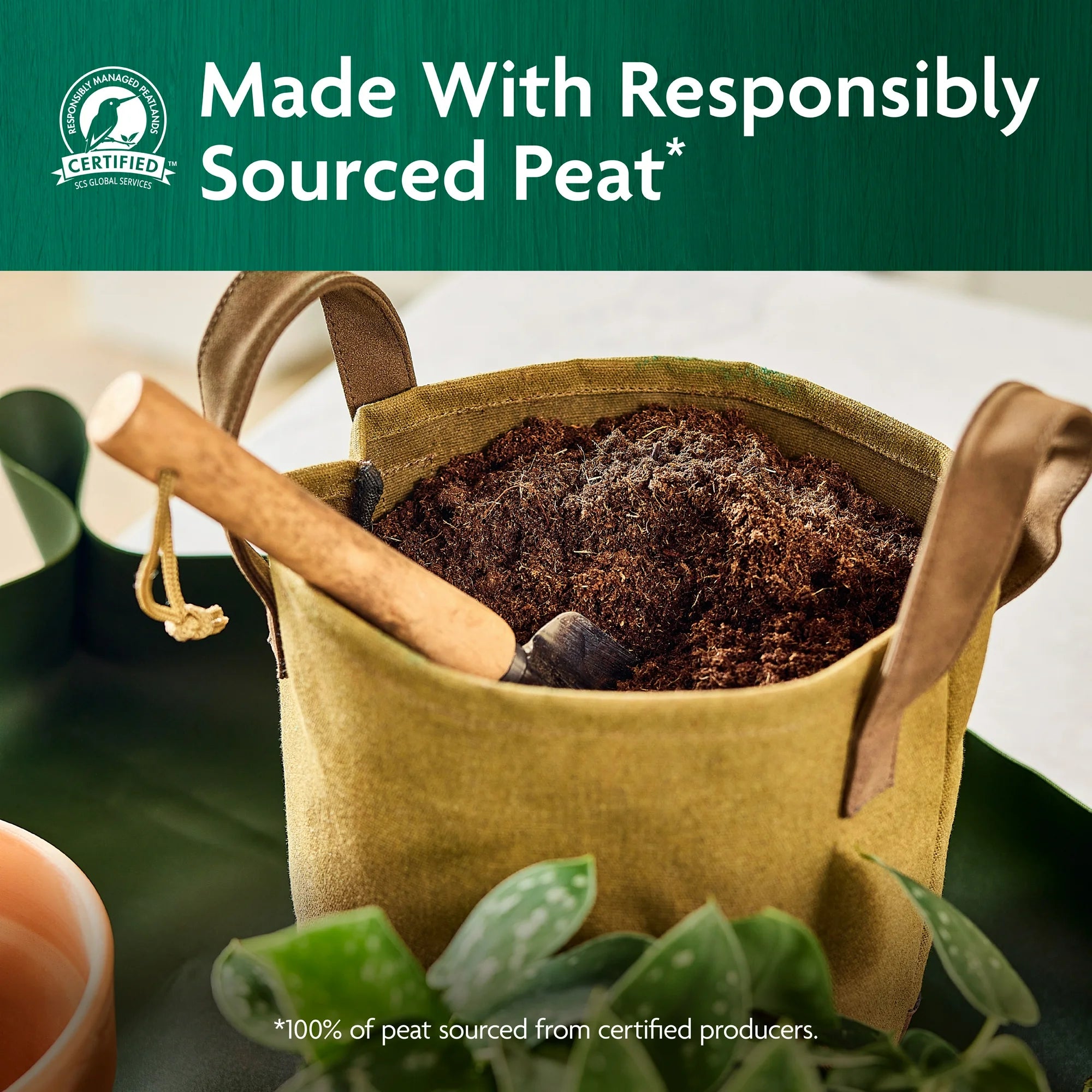 Organic Indoor Potting Mix for Container Plants (8 qt.)