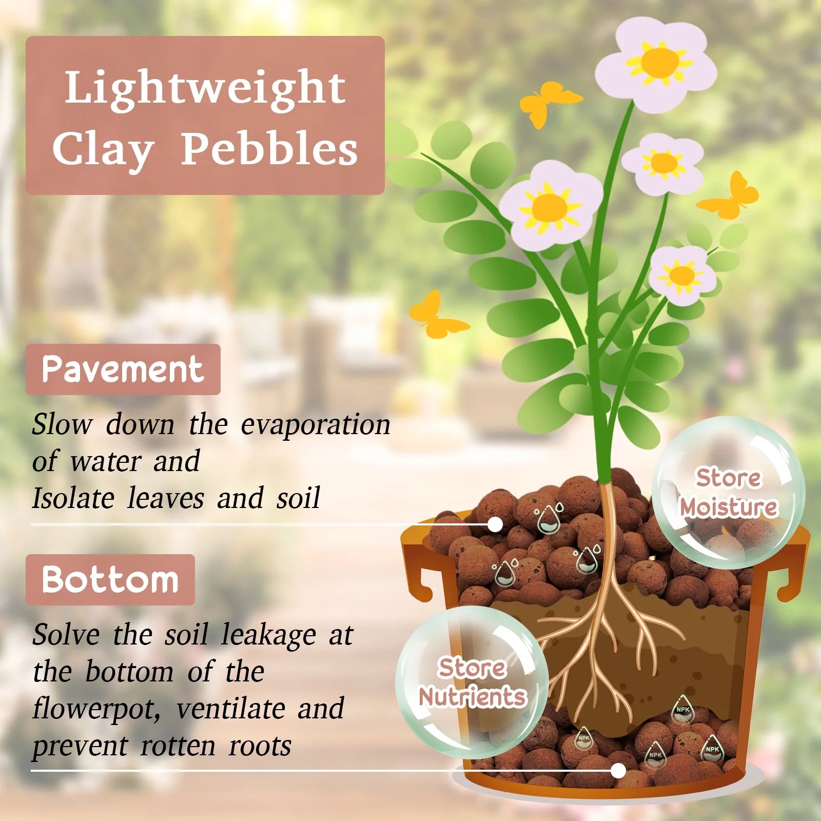 Organic LECA Clay Pebbles for Indoor Plants (8 lb)