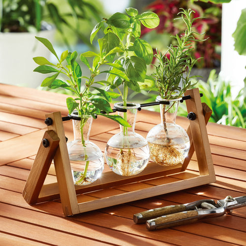Glass & Wood Plant Propagation Station Set (11.3 × 4.3 × 5.5 in.)