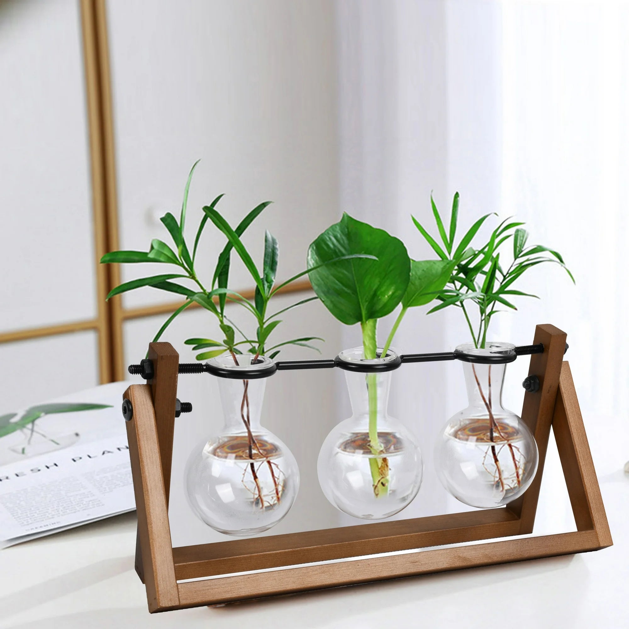 Glass & Wood Plant Propagation Station Set (11.3 × 4.3 × 5.5 in.)