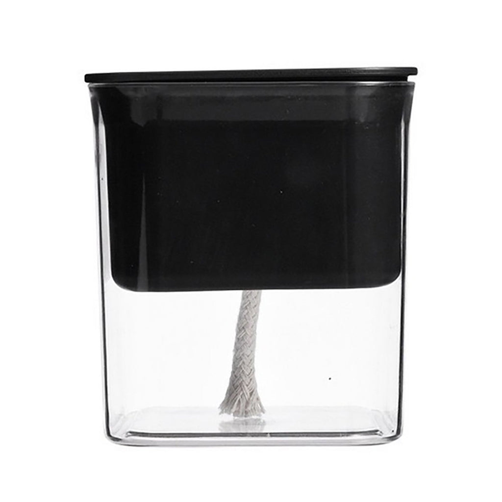 Clear Self-Watering Planter for Indoor Plants