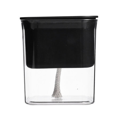 Clear Self-Watering Planter for Indoor Plants