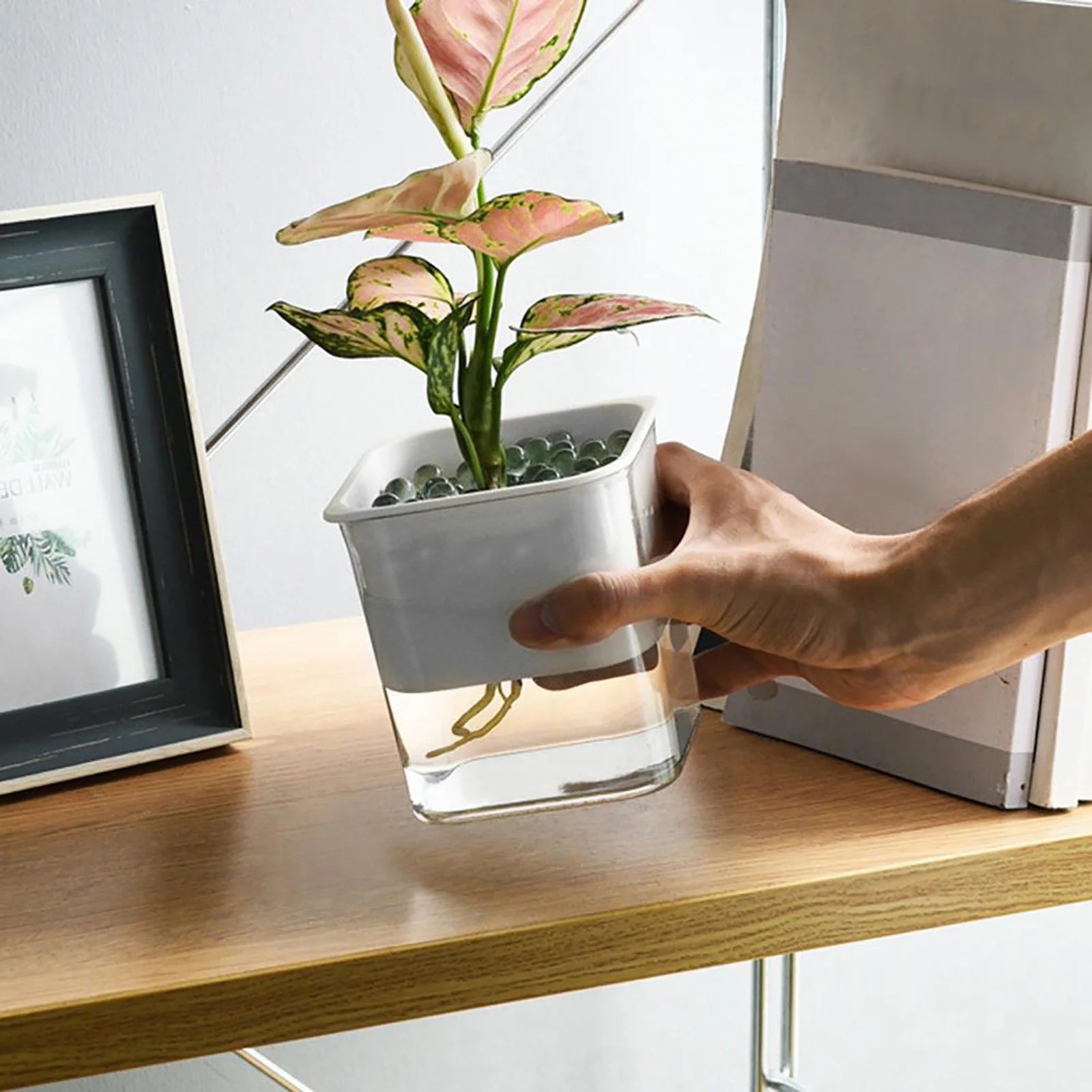 Clear Self-Watering Planter for Indoor Plants