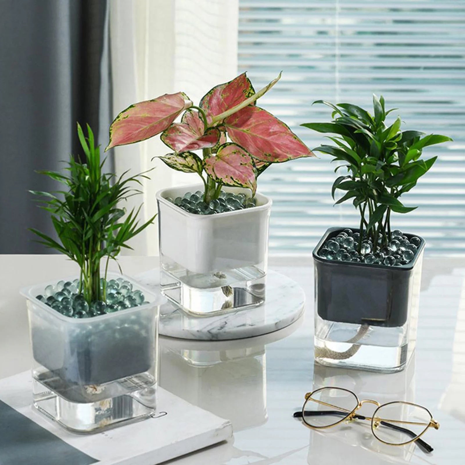 Clear Self-Watering Planter for Indoor Plants