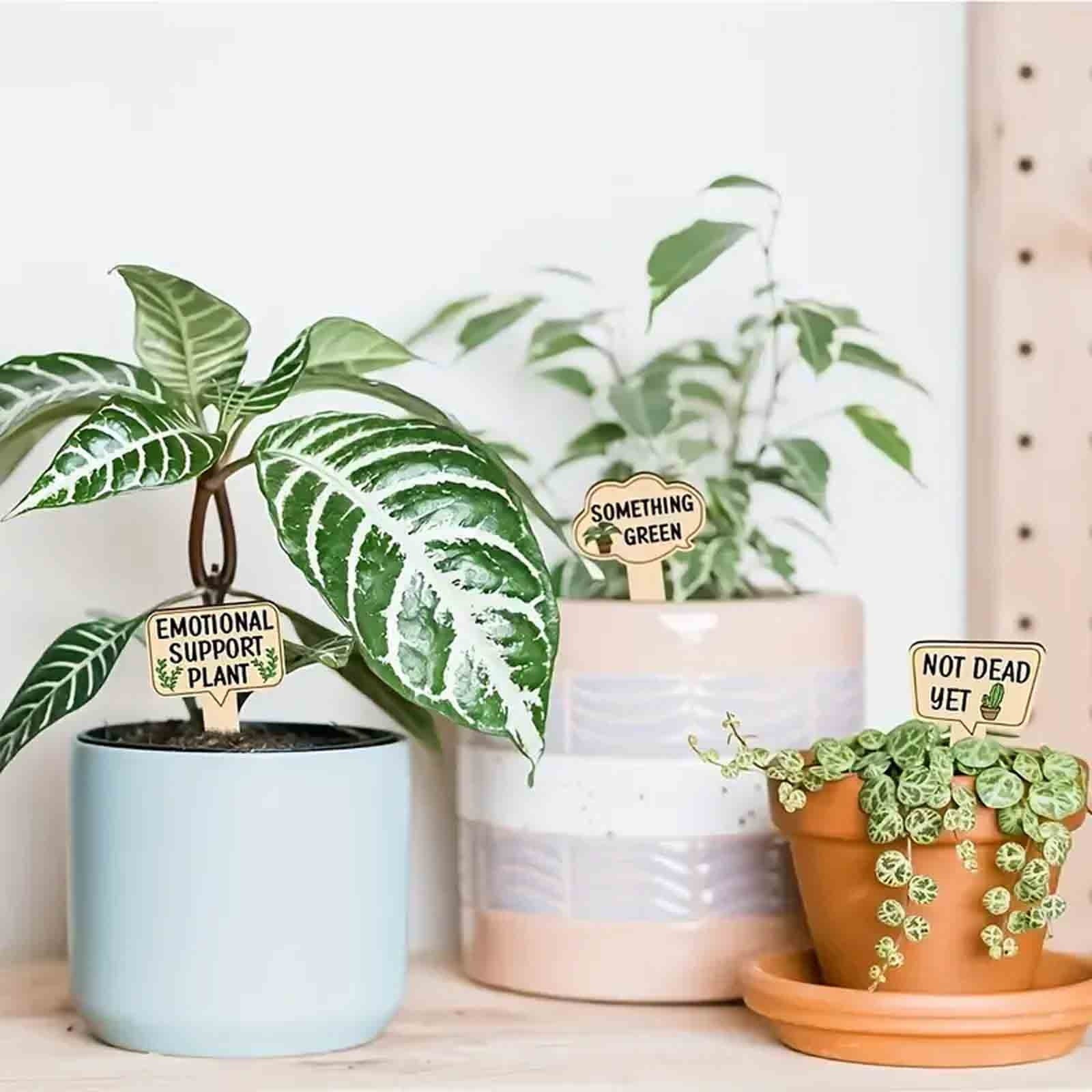 Wooden Garden Plant Markers with Decorative Text (15-Piece Set)