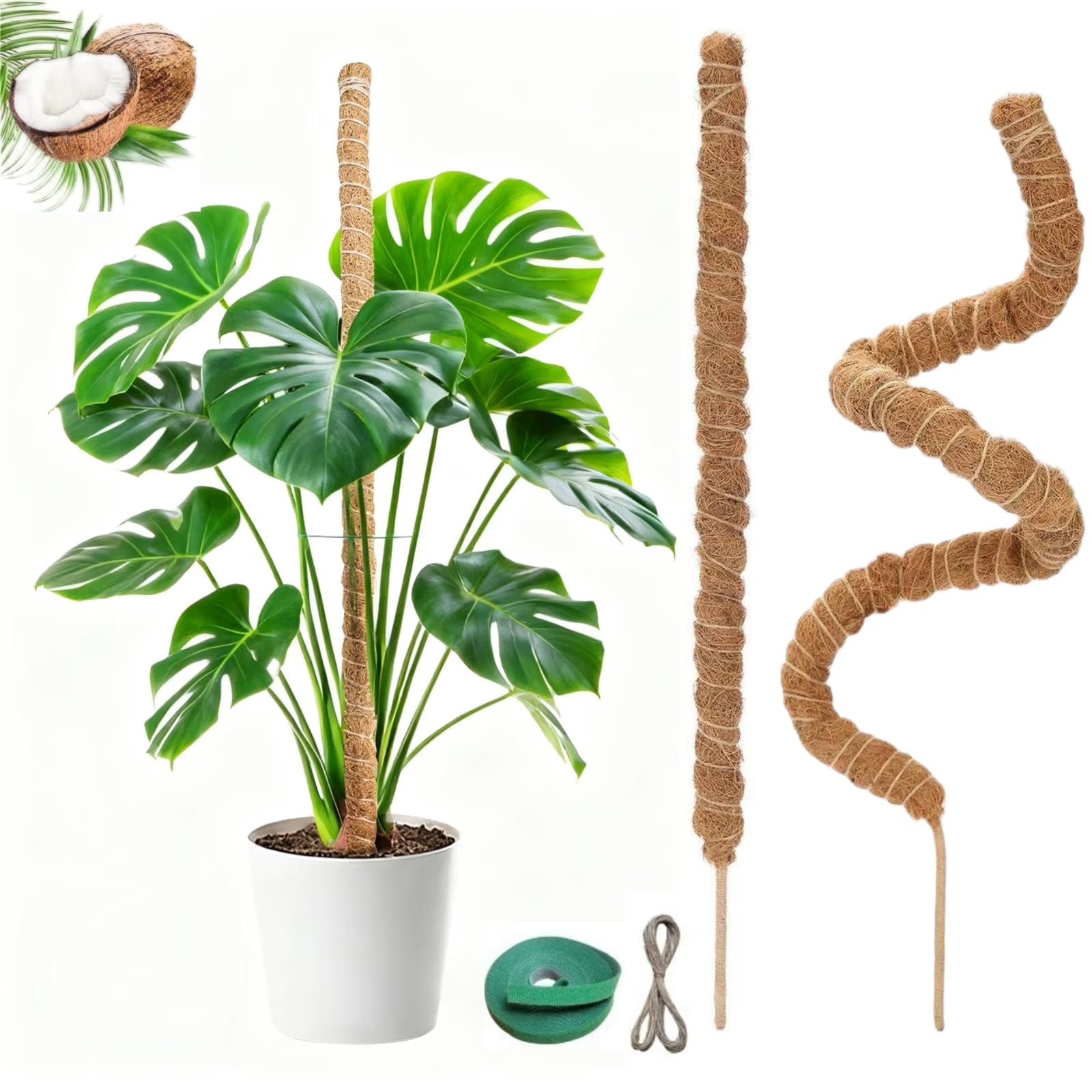 Moss Poles for Climbing Indoor Plants (2-Pack, 28 in.)